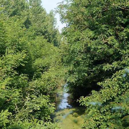 Mezes Tanya Belmegyer Villa Dış mekan fotoğraf